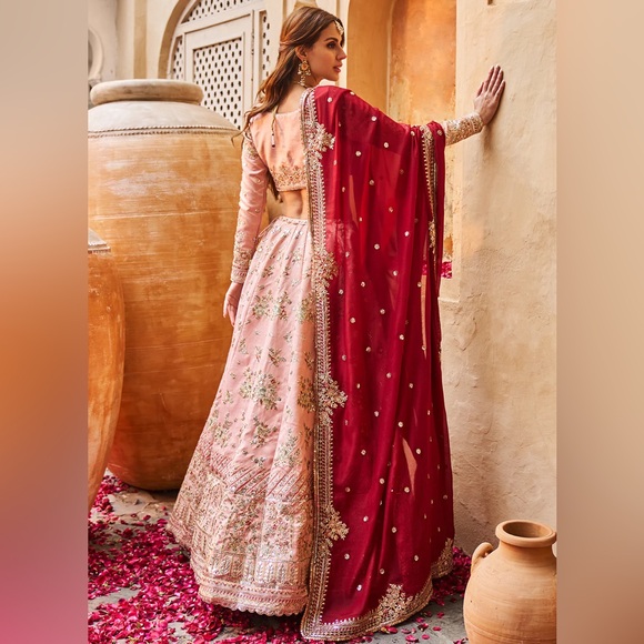 Indian Lehenga - Picture 4 of 4